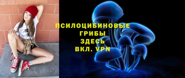 a pvp Лиски