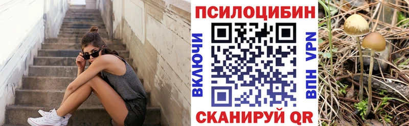 Галлюциногенные грибы GOLDEN TEACHER Купить где Новосокольники
